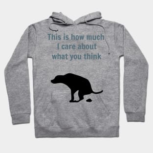 How much I care about what you think Hoodie